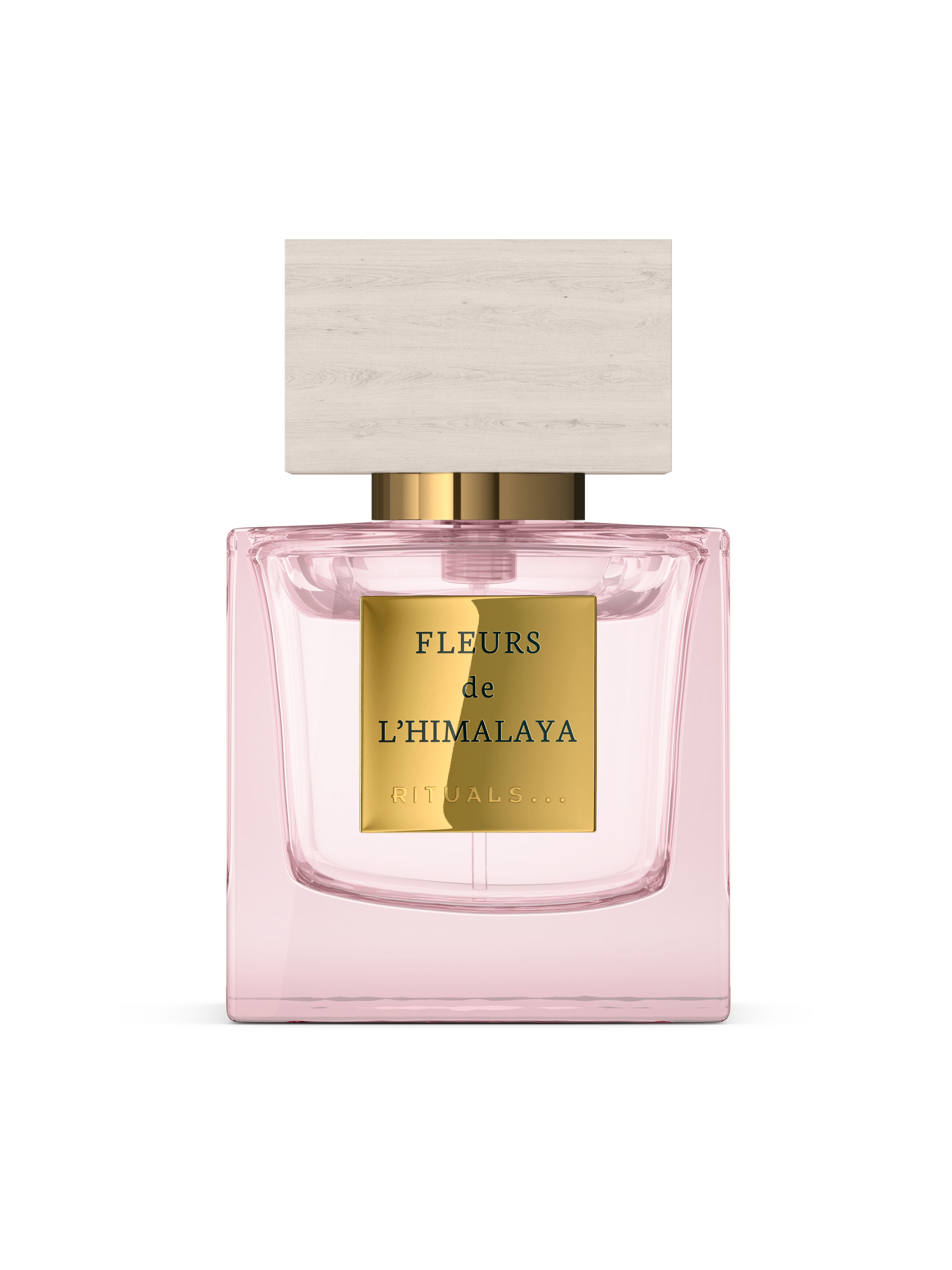 Fleurs de l’Himalaya