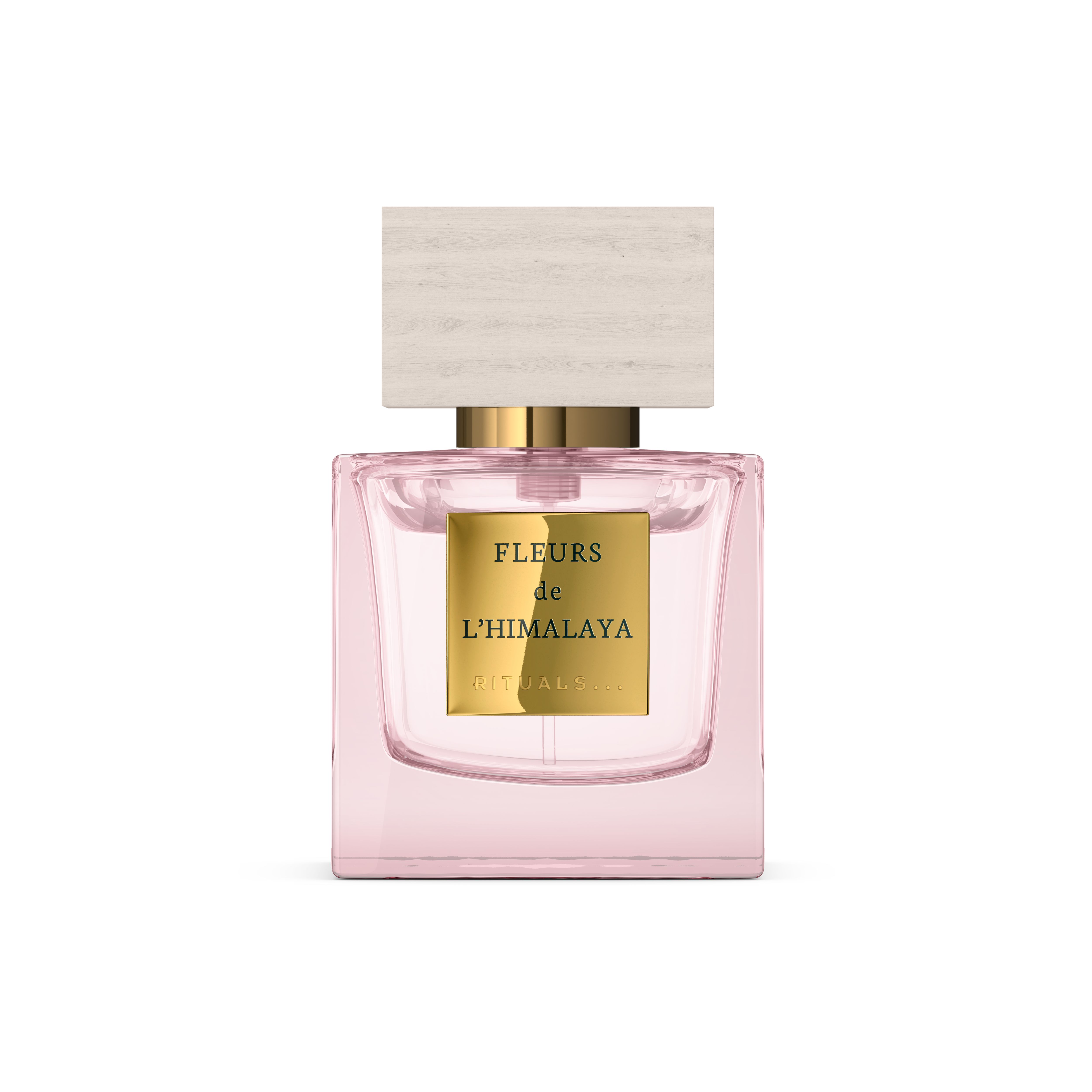 Fleurs de l’Himalaya