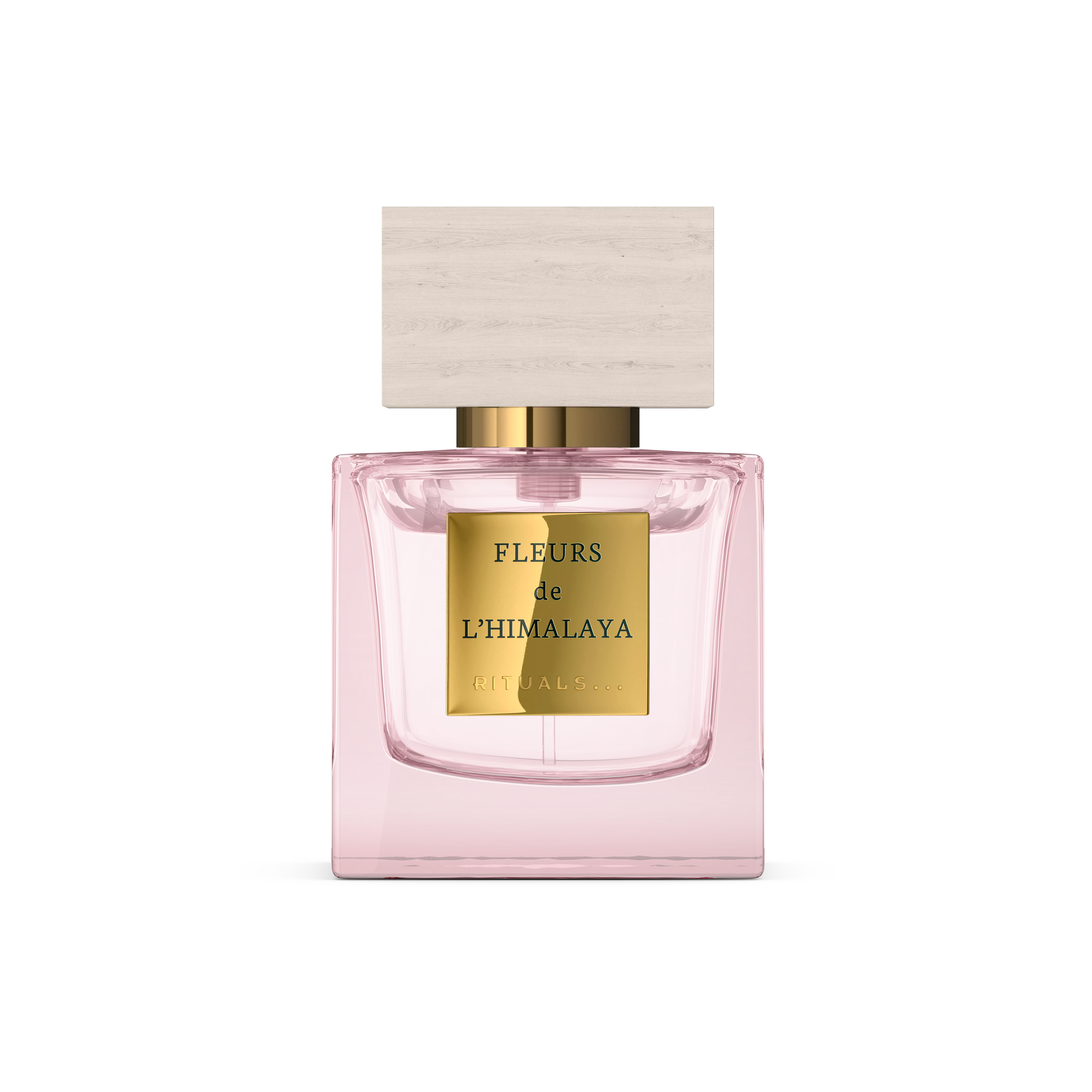 Fleurs de l’Himalaya