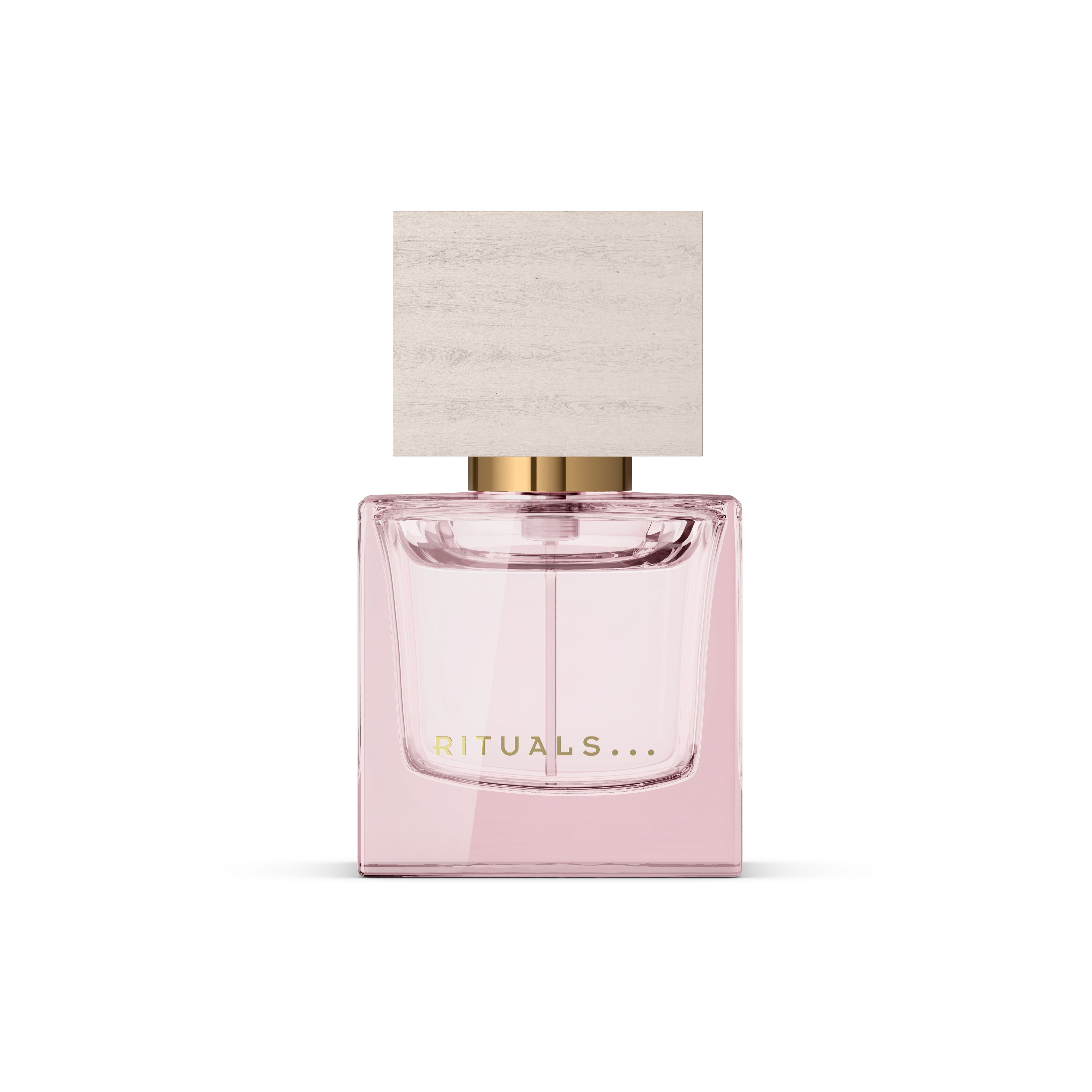 Travel - Fleurs de l’Himalaya