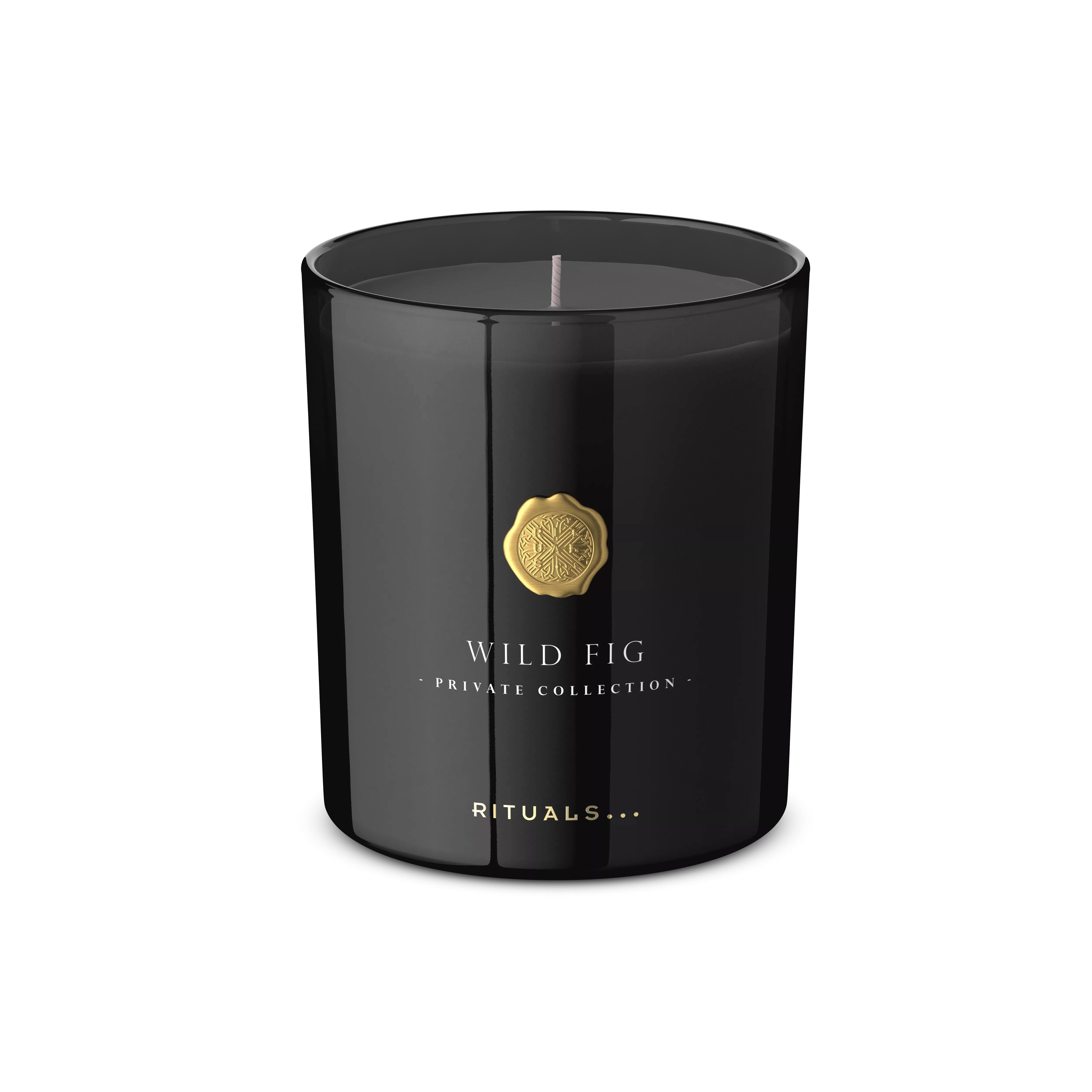 Wild Fig Scented Candle