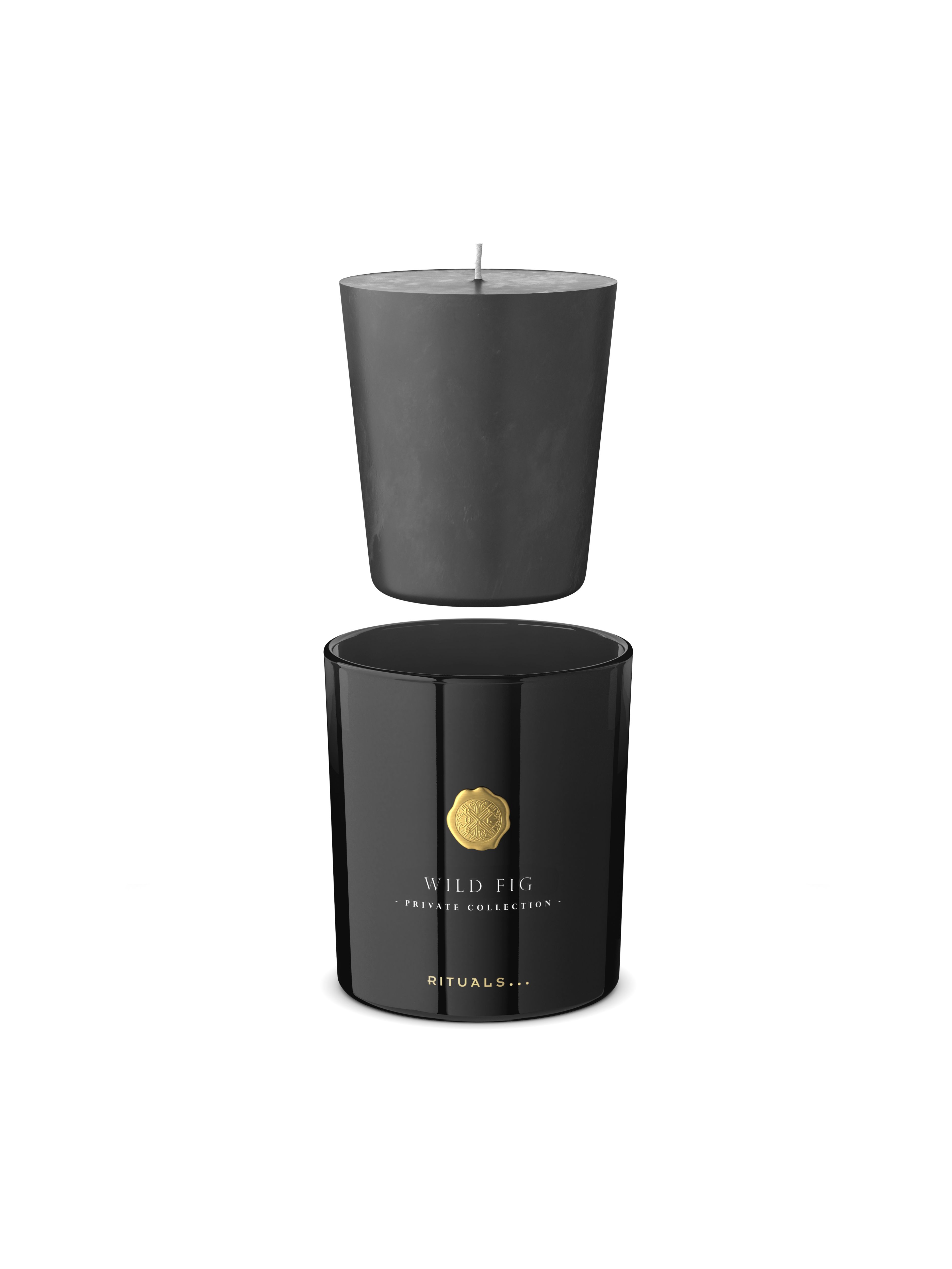 Wild Fig Refill Scented Candle