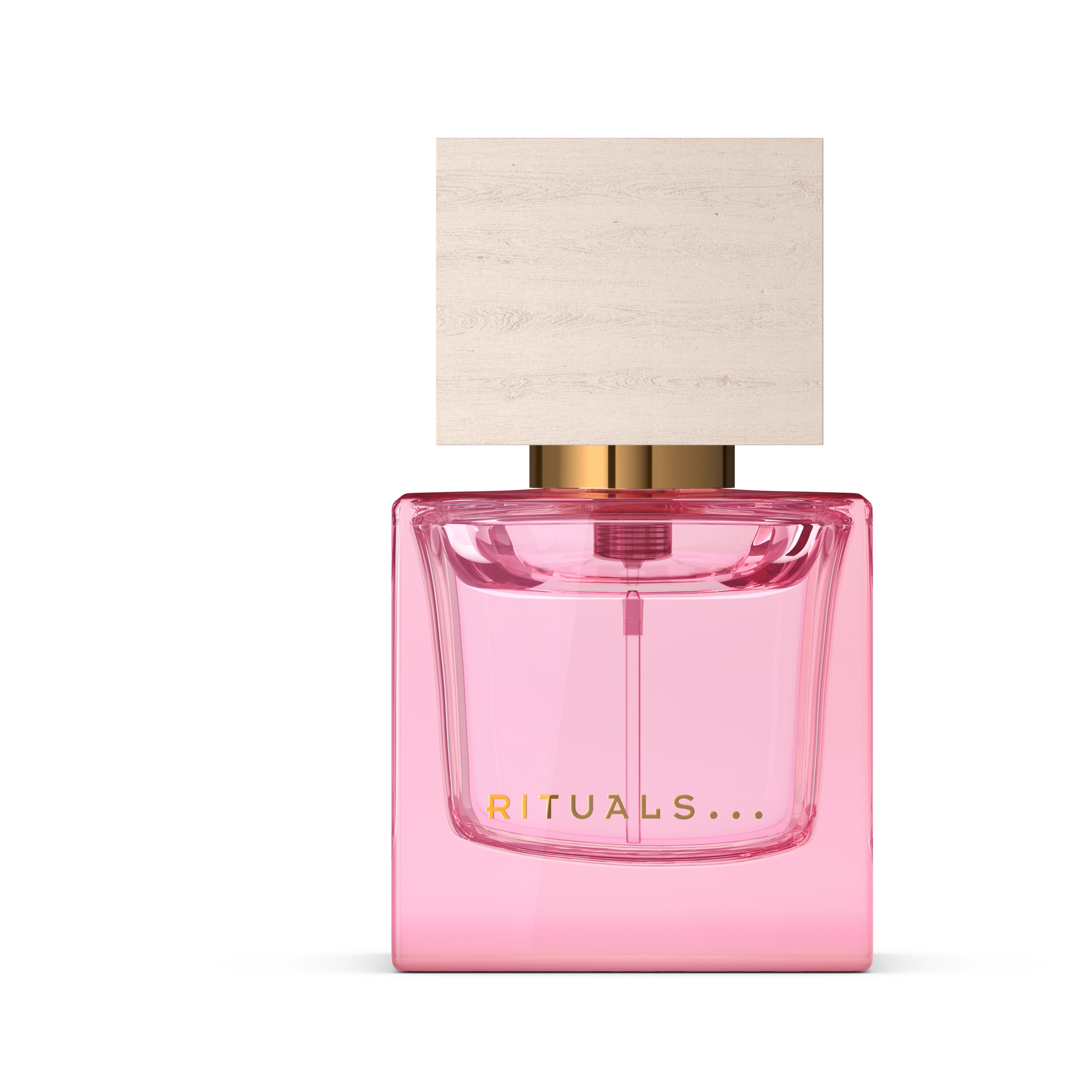 Travel - Rêve de Hanami