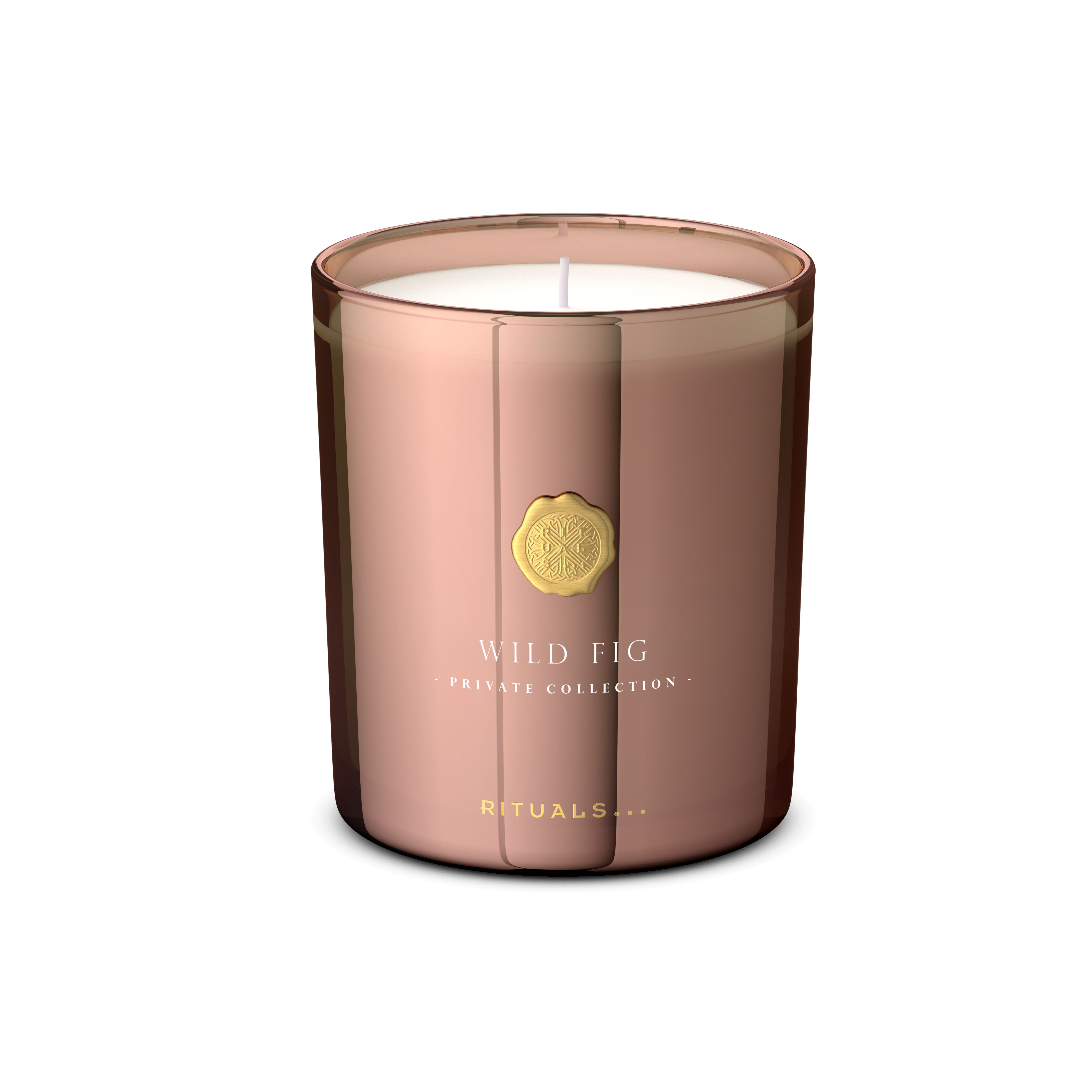 Wild Fig Scented Candle
