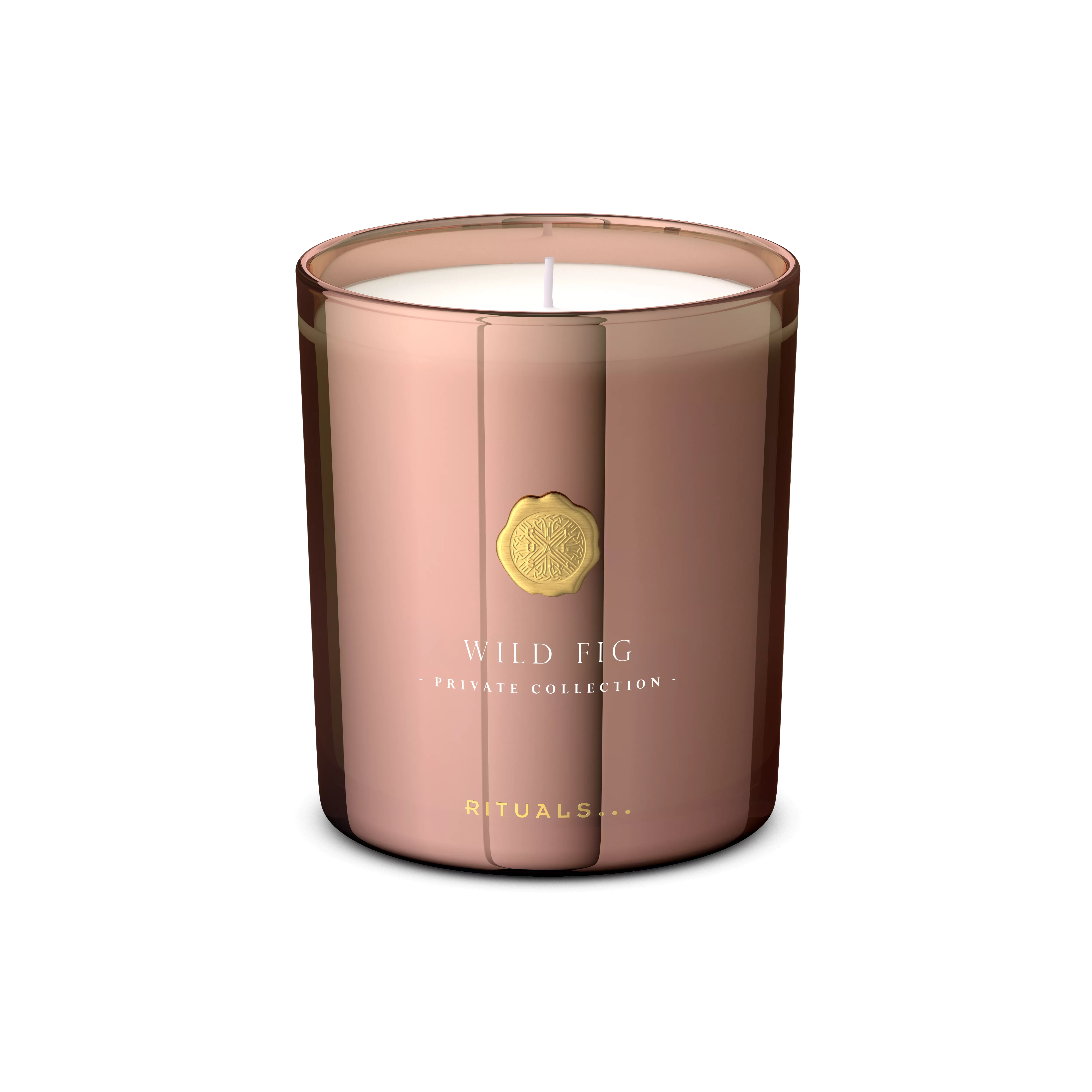 Wild Fig Scented Candle